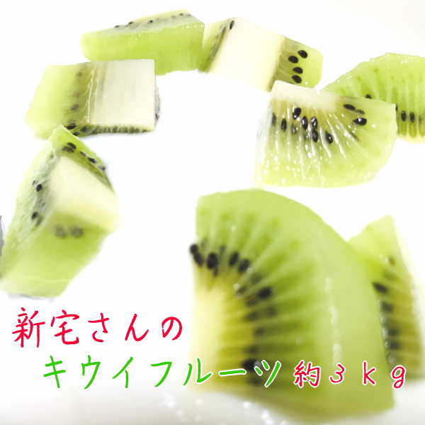 除草剤をほとんど使用せずキウイフルーツ栽培をされている新宅さんのキウイフルーツは甘みと酸味のバランスが抜群のとってもジューシーなキウイフルーツです。  和歌山有田 新宅さんのキウイフルーツ（ヘイワード） 約３ｋｇ