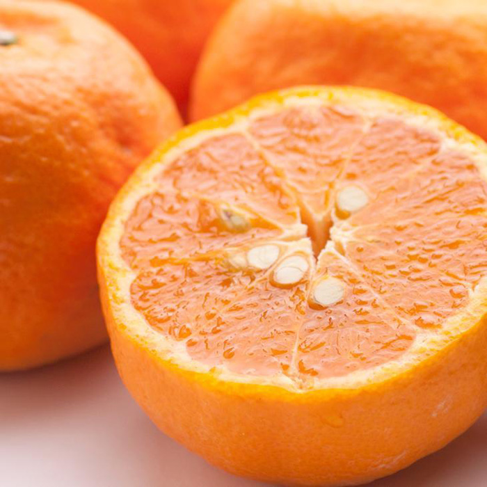 日高町 ふるさと納税 池田農園株式会社  ＜6月より発送＞厳選カラマンダリン1.8kg+48g（傷み補償分）   | 和歌山県日高町 和歌山県 日高町 ふるさと 納税 ふるさと 故郷納税 支援 支援品 返礼品 返礼 特産品 名産品 お取り寄せ ご当地 柑橘 柑橘類 柑橘系