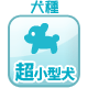 超小型犬
