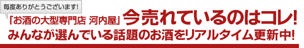 売上状況公開中！