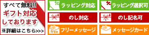 ギフト対応アイコンについて