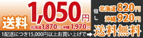 送料全国一律880円