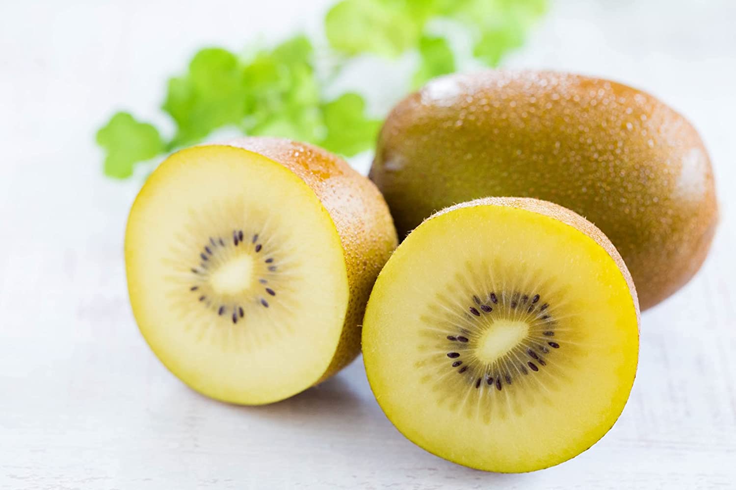 大好評！キウイ 人気  お礼  お返し  御祝  内祝い  返礼品  お祝い  御供  誕生日  御見舞  プレゼント  贈り物  贈答品 お歳暮  送料無料  あす楽 ゼスプリ サンゴールド キウイ フルーツ 1kg ※野菜ソムリエ推奨商品