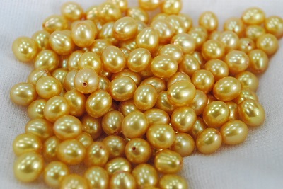 大人気 今だけ限定15%OFFクーポン発行中 淡水真珠のペアです ホワイト オレンジ パープル ゴールドの４色より選択できます ６ｍｍのオレンジ ６．５ｍｍホワイト グレーが再入荷しました 淡水 真珠 ６ｍｍ ６．５ｍｍ ライス ルース 片孔ペア 材料 integrateja.eu integrateja.eu