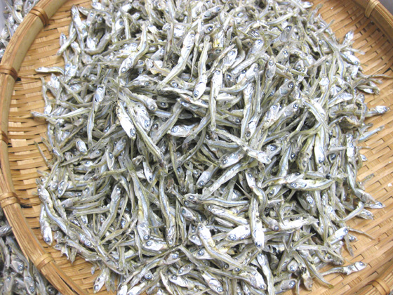 【限定価格セール！】 高品質 無添加 自然のまま カルシウム不足の方に お子様やご年配の方に 山口県周防大島産 １５０ｇ ゆうパケット ネコポス限定送料無料 integrateja.eu integrateja.eu