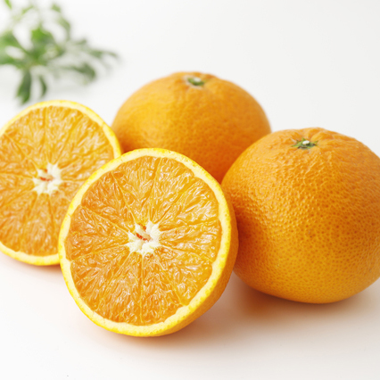 あふれる果汁！甘くてジューシー！スマイルカットで食べてネ！ 清見オレンジ ５kg 3800円