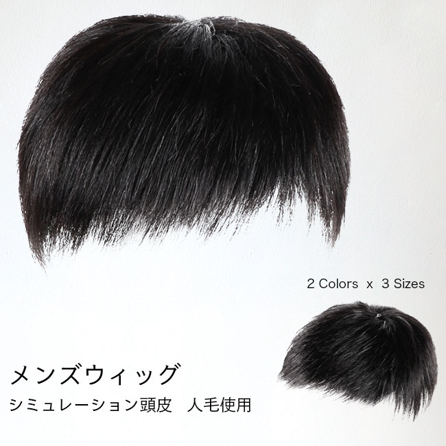 ブランド品 送料無料限定セール中 薄毛対策 メンズ2typesウィッグ ウィッグ メンズ かつら 部分ウィッグ 自然 ショートヘア 人毛 カツラ 耐風 男性 エクステ 増毛 セルフ増毛 integrateja.eu integrateja.eu