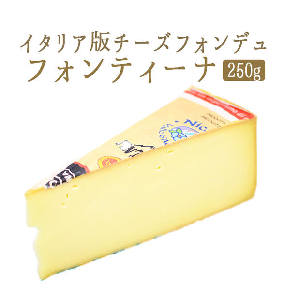 フォンティーナ フォンティナ D.O.P. Fontina ＜イタリア産＞
